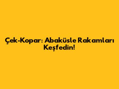 Çek-Kopar: Abaküsle Rakamları Keşfedin!