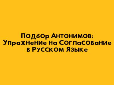 Подбор Антонимов: Упражнение на Согласование в Русском Языке