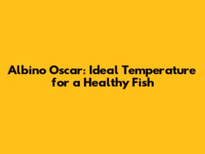 Albino Oscar: Ideal Temperature for a Healthy Fish