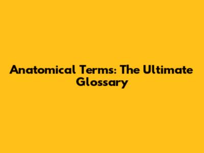 Anatomical Terms: The Ultimate Glossary