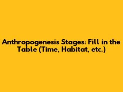 Anthropogenesis Stages: Fill in the Table (Time, Habitat, etc.)