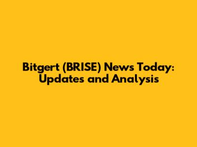 Bitgert (BRISE) News Today: Updates and Analysis