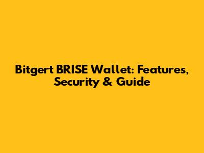 Bitgert BRISE Wallet: Features, Security & Guide