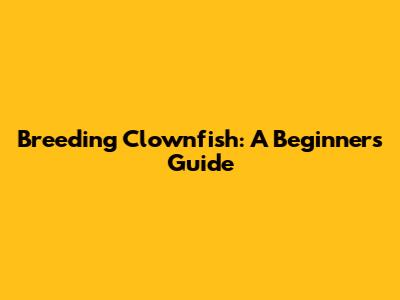 Breeding Clownfish: A Beginner's Guide