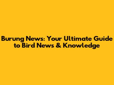 Burung News: Your Ultimate Guide to Bird News & Knowledge