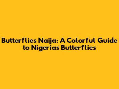 Butterflies Naija: A Colorful Guide to Nigeria's Butterflies