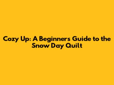 Cozy Up: A Beginner's Guide to the Snow Day Quilt