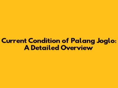 Current Condition of Palang Joglo: A Detailed Overview