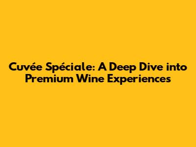 Cuvée Spéciale: A Deep Dive into Premium Wine Experiences