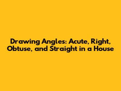 Drawing Angles: Acute, Right, Obtuse, and Straight in a House
