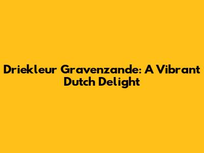 Driekleur Gravenzande: A Vibrant Dutch Delight