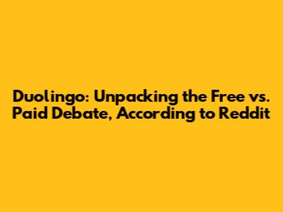 Duolingo: Unpacking the Free vs. Paid Debate, According to Reddit