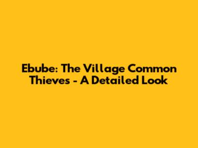 Ebube: The Village Common Thieves - A Detailed Look