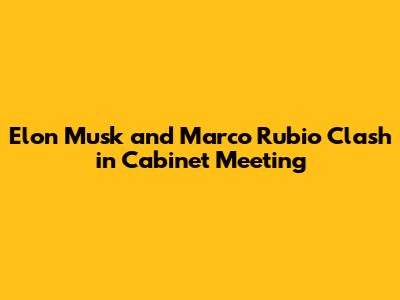 Elon Musk and Marco Rubio Clash in Cabinet Meeting