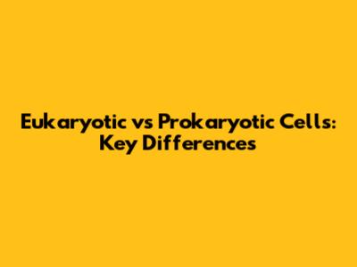 Eukaryotic vs Prokaryotic Cells: Key Differences