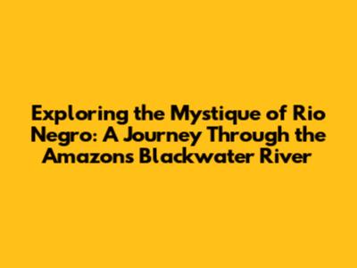 Exploring the Mystique of Rio Negro: A Journey Through the Amazon's Blackwater River