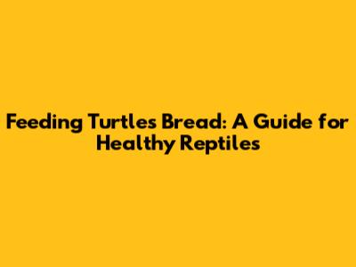Feeding Turtles Bread: A Guide for Healthy Reptiles