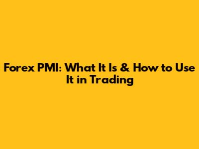 Forex PMI: What It Is & How to Use It in Trading