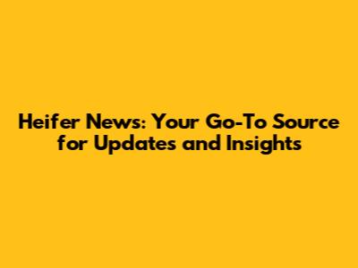 Heifer News: Your Go-To Source for Updates and Insights