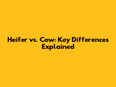 Heifer vs. Cow: Key Differences Explained