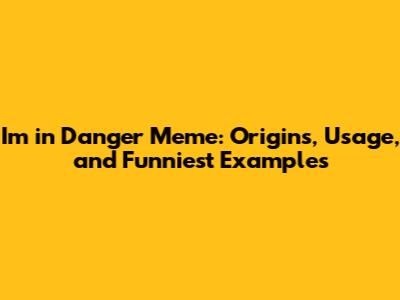 I'm in Danger Meme: Origins, Usage, and Funniest Examples