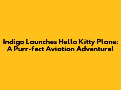 Indigo Launches Hello Kitty Plane: A Purr-fect Aviation Adventure!