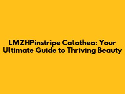LMZHPinstripe Calathea: Your Ultimate Guide to Thriving Beauty