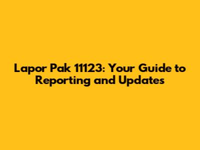 Lapor Pak 11123: Your Guide to Reporting and Updates