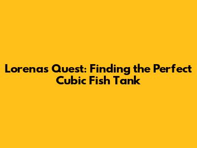 Lorena's Quest: Finding the Perfect Cubic Fish Tank