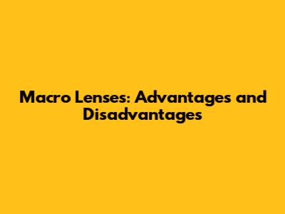 Macro Lenses: Advantages and Disadvantages