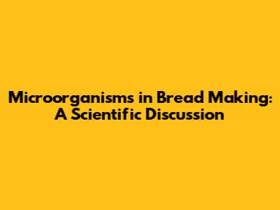 Microorganisms in Bread Making: A Scientific Discussion