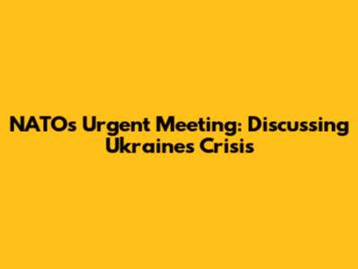 NATO's Urgent Meeting: Discussing Ukraine's Crisis