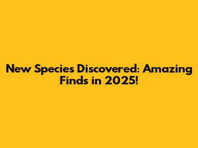 New Species Discovered: Amazing Finds in 2025!