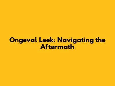 Ongeval Leek: Navigating the Aftermath