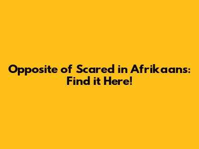 Opposite of Scared in Afrikaans: Find it Here!