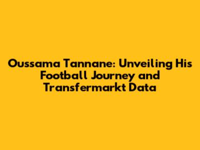 Oussama Tannane: Unveiling His Football Journey and Transfermarkt Data