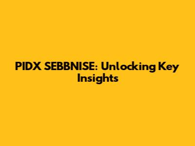 PIDX SEBBNISE: Unlocking Key Insights