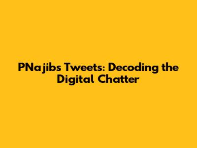 PNajib's Tweets: Decoding the Digital Chatter