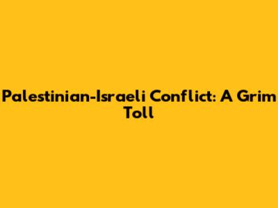 Palestinian-Israeli Conflict: A Grim Toll