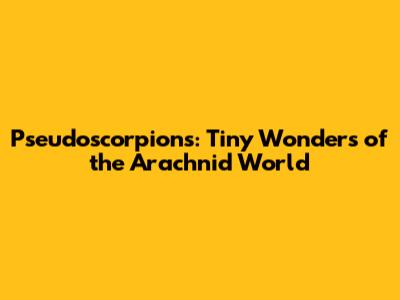 Pseudoscorpions: Tiny Wonders of the Arachnid World