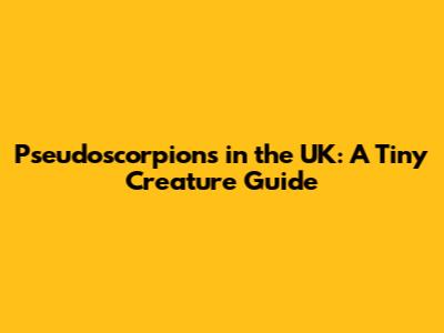 Pseudoscorpions in the UK: A Tiny Creature Guide