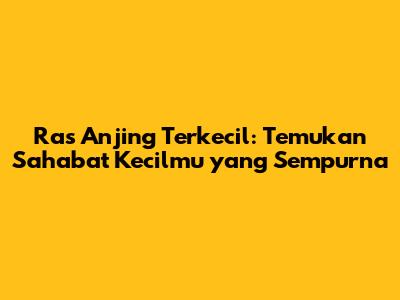 Ras Anjing Terkecil: Temukan Sahabat Kecilmu yang Sempurna