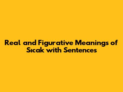 Real and Figurative Meanings of 'Sıcak' with Sentences