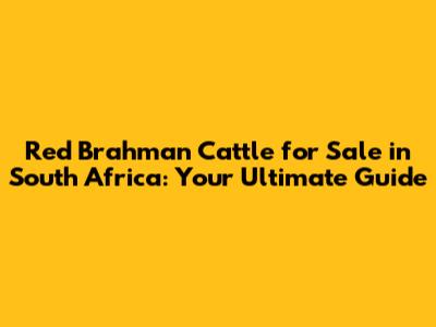 Red Brahman Cattle for Sale in South Africa: Your Ultimate Guide