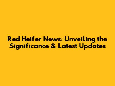 Red Heifer News: Unveiling the Significance & Latest Updates