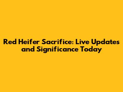 Red Heifer Sacrifice: Live Updates and Significance Today