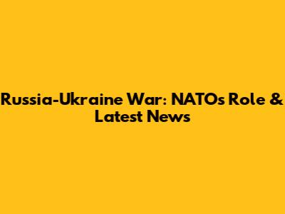 Russia-Ukraine War: NATO's Role & Latest News