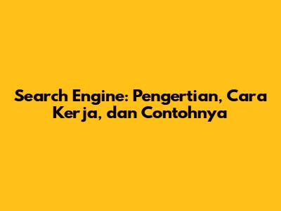Search Engine: Pengertian, Cara Kerja, dan Contohnya