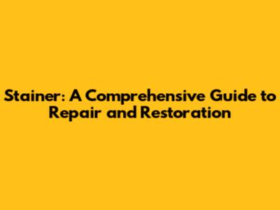 Stainer: A Comprehensive Guide to Repair and Restoration