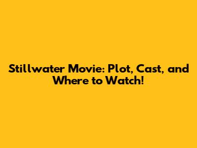 Stillwater Movie: Plot, Cast, and Where to Watch!